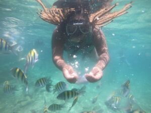 Snorker 5 islas