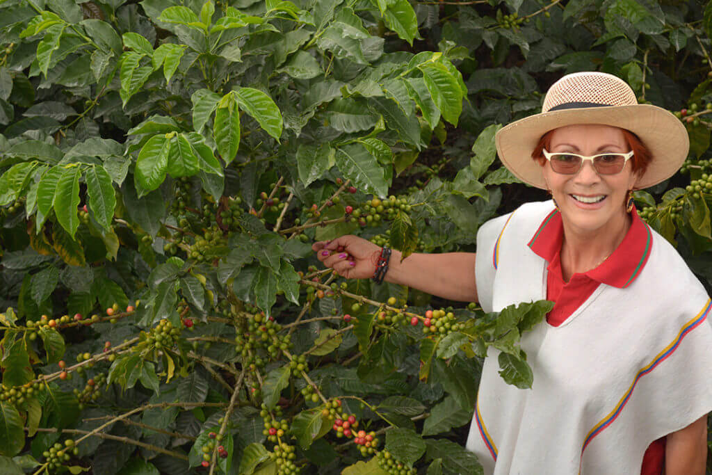 Experiencia Cafetera