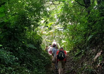 Caminata por Minca