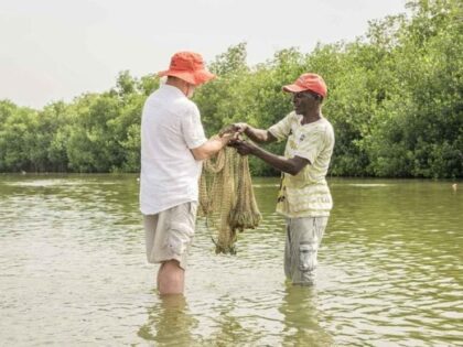 Cartagena-Mangrove-abordak