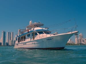 IMG-20231104-WA0014-1