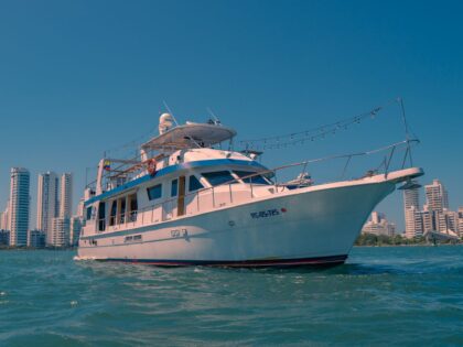 IMG-20231104-WA0014-1