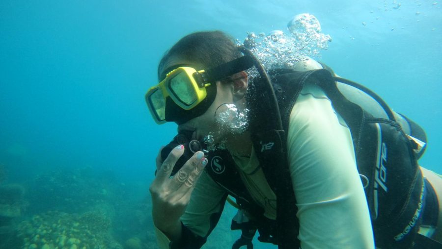 buceo islas del rosario
