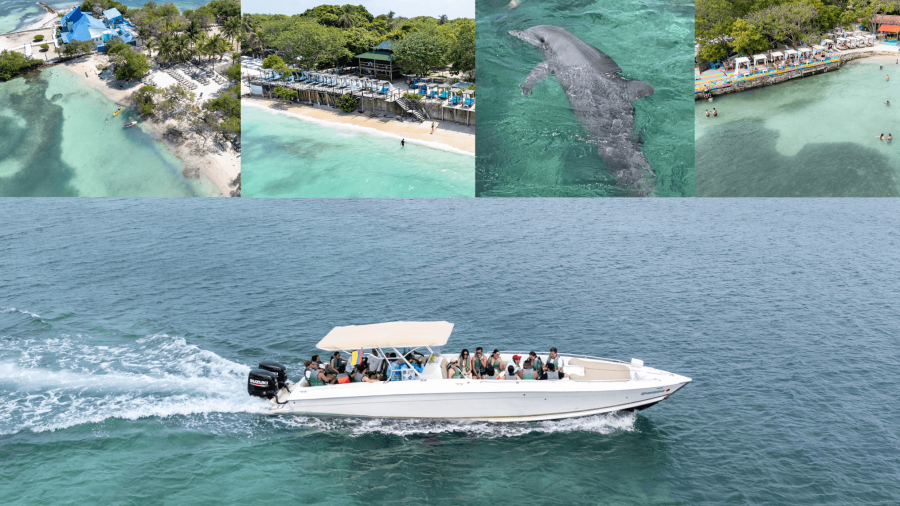 top lux islas del rosario