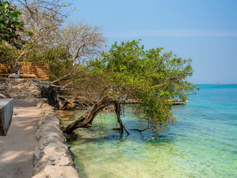 Tour por Paue beach club - Abordak --
