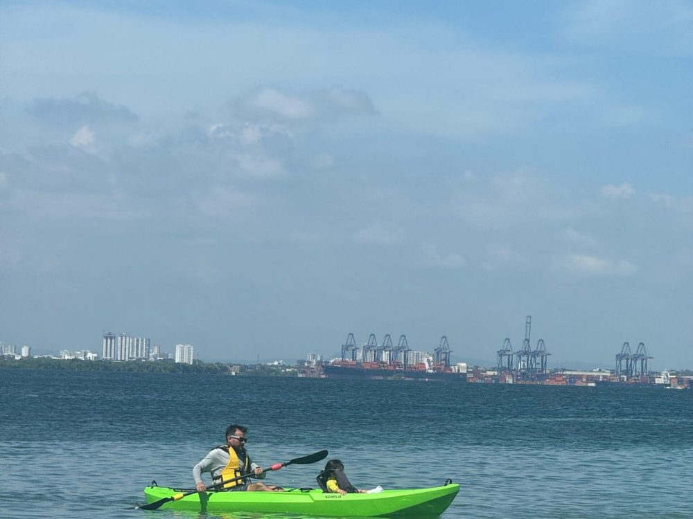 palmarito beach abk kayak